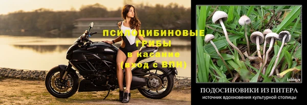 ГАЛЛЮЦИНОГЕННЫЕ ГРИБЫ Абинск